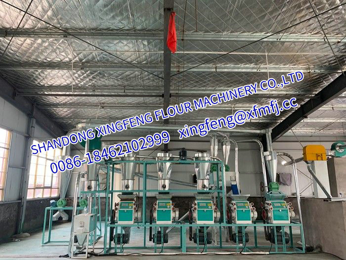 20T wheat flour milling equipment